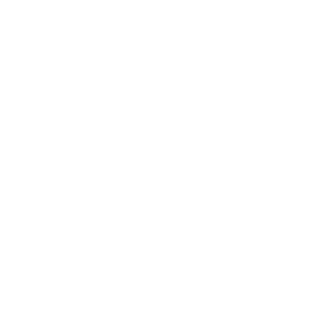 Pilot